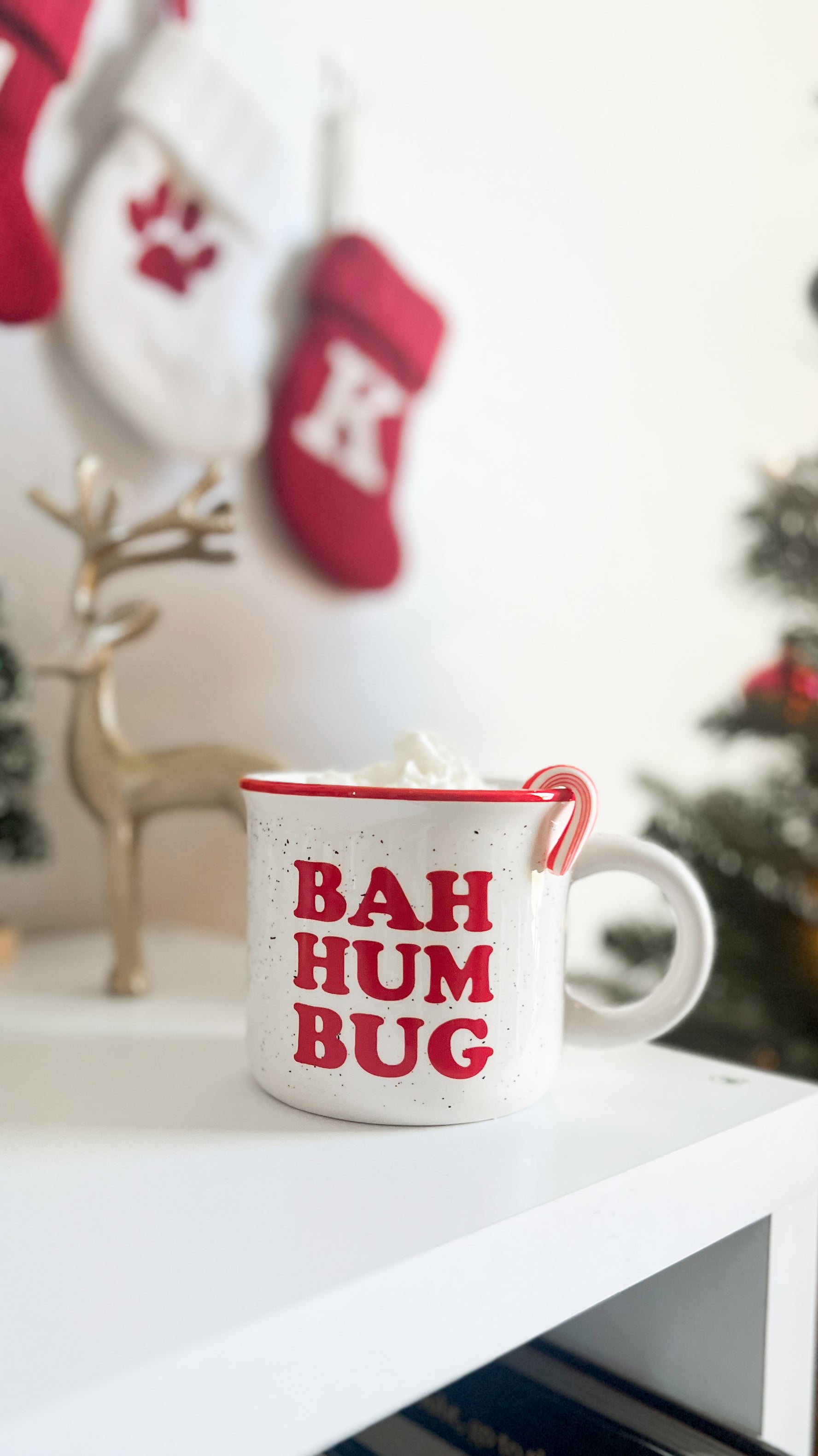 Bah Hum Bug Mug